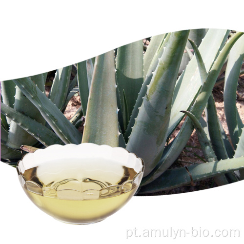 Extrato de Aloe Vera Suco em Gel 10: 1